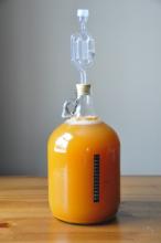 Early batch of cider, February 2013